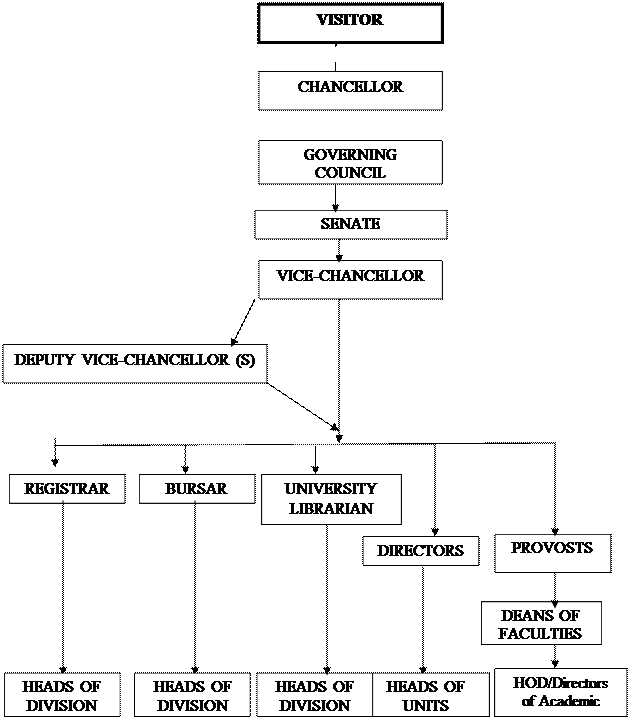 Organizational Chart of the University