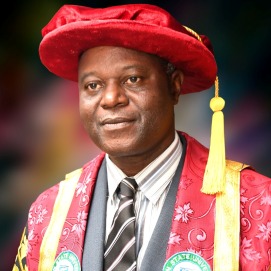 Prof. Odunayo Clement Adebooye