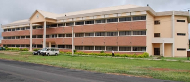 College of Management and Social Sciences