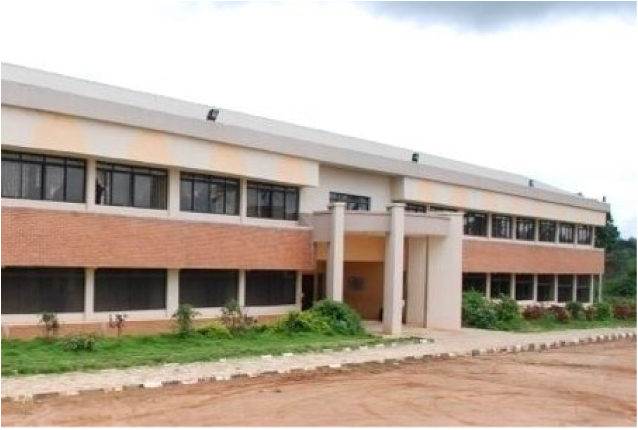 Agricultural Economics and Agribusiness Management department