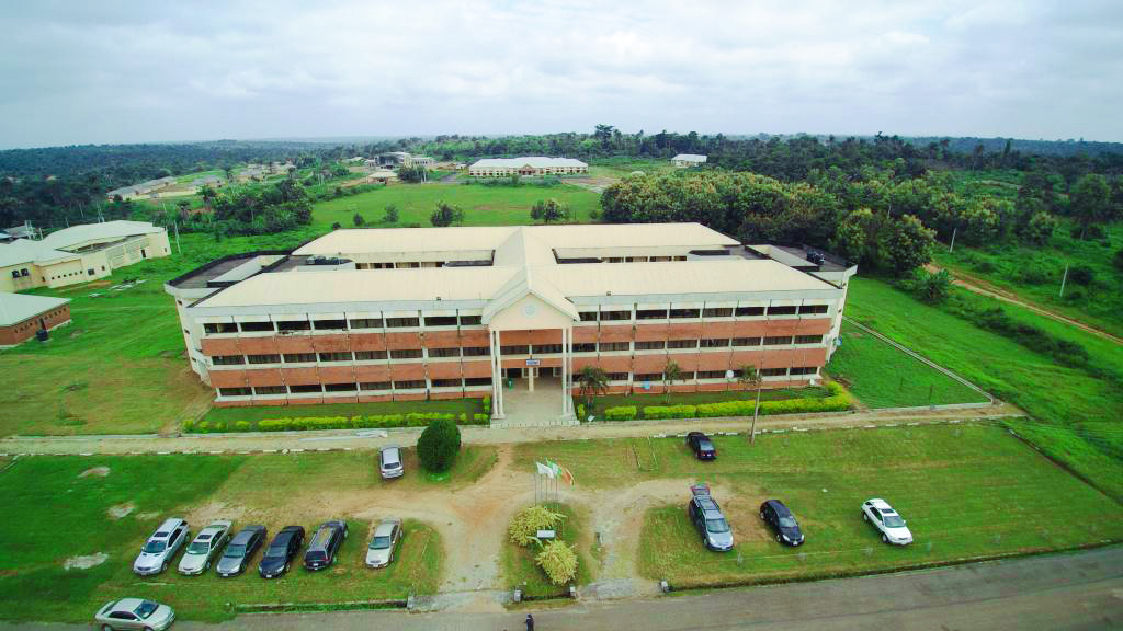 college of management sciences
